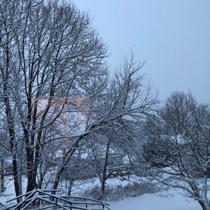 Meet your Posher, Yvonne